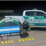 Detuvieron a dos mujeres con más de 10 kilos de cocaína en un colectivo