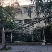 Viento norte en Jujuy: EJESA brind� recomendaciones para los usuarios