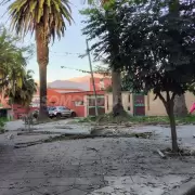 Las consecuencias del temporal de viento en Jujuy: �rboles ca�dos y cortes de energ�a en algunos barrios
