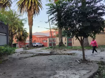 temporal de viento