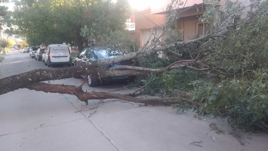 Temporal en Jujuy: una mujer result� herida tras la ca�da de una pared
