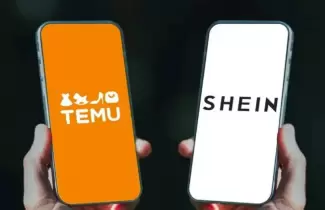 temu y shein