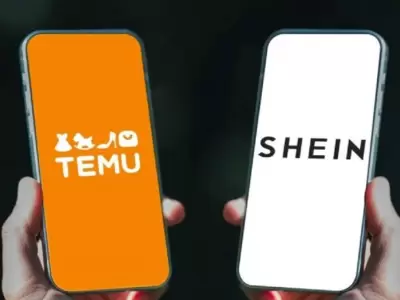 temu y shein