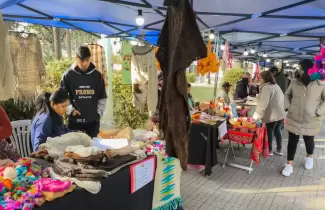feria "Manos Ind�genas"