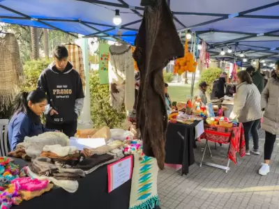 feria "Manos Ind�genas"