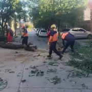 El Gobierno de Jujuy despleg� un amplio operativo ante las fuertes r�fagas de viento en la capital