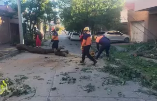operativo viento norte