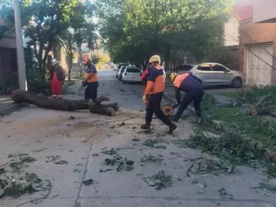 operativo viento norte