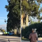 Un ciclista muri� atropellado en Ruta Provincial 47