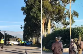 ciclista muri� atropellado en Ruta Provincial 47