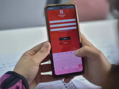boletin digital