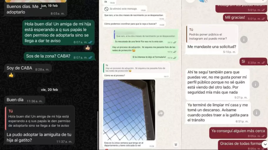 Los chats con organizaciones rescatistas