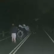 Secuestraron ocho caballos sueltos que deambulaban por una ruta y barrios de Jujuy