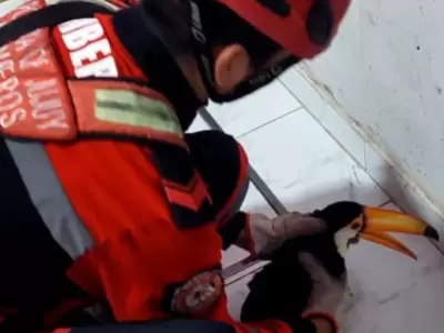 bomberos jujuy