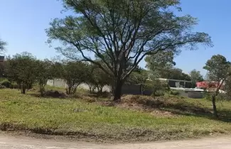 Subasta p�blica electr�nica de lotes ubicados en Alto Padilla