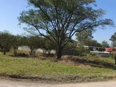 Subasta p�blica electr�nica de lotes ubicados en Alto Padilla