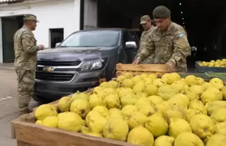 Licitaci�n con membrillos para comprar repuestos de una camioneta del Ej�rcito Argentino