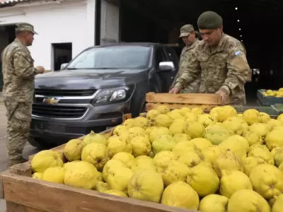 Licitaci�n con membrillos para comprar repuestos de una camioneta del Ej�rcito Argentino