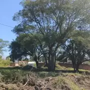 Subasta de terrenos en Alto Padilla: cuánto cuestan y cómo participar