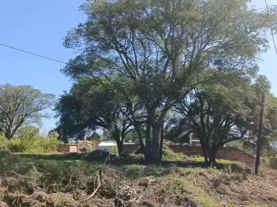 Alto Padilla