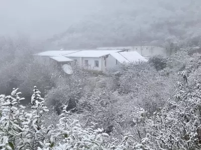 nieve en molulo