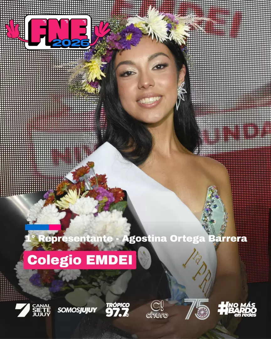 fne 2026 elección emdei