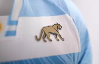 PUMAS