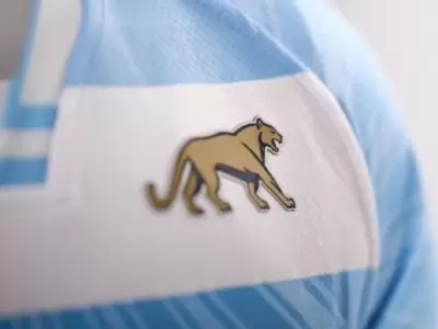 PUMAS