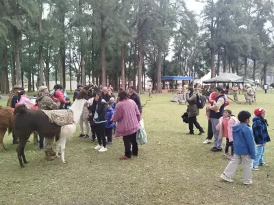 Actividades GAM 5