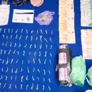 Cuatro allanamientos por narcomenudeo en San Pedro: secuestraron droga, dinero y aprehendieron a siete personas