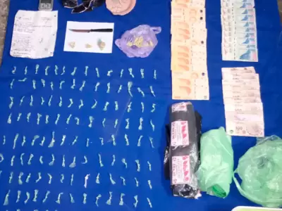 Cuatro allanamientos por narcomenudeo en San Pedro: secuestran droga, dinero y aprehenden a siete personas