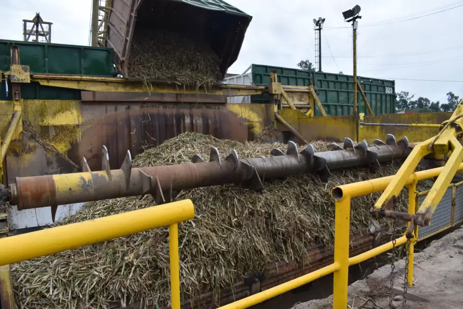 ledesma