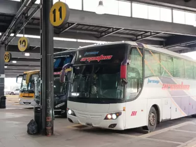 colectivos media distancia