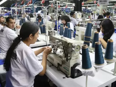 industria textil