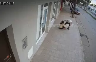 robo motochorro en Libertador