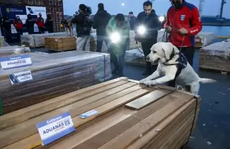 Incautaron m�s de 100 toneladas de droga oculta en madera en puertos de Chile