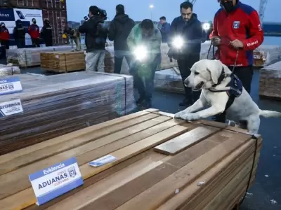 Incautaron m�s de 100 toneladas de droga oculta en madera de un cargamento proveniente de Bolivia