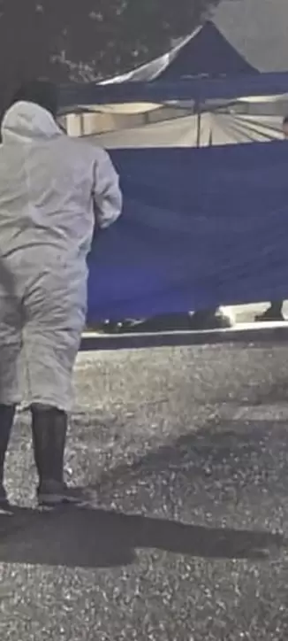 siniestro vial Palpal�