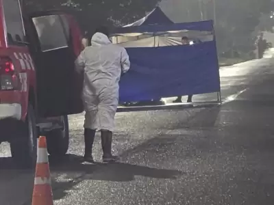 siniestro vial Palpal�