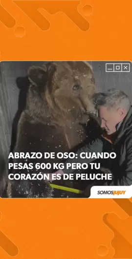 El tierno abrazo de oso que se viraliz� en el Instagram de Somos Jujuy