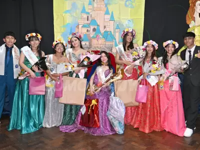 fne 2026 eleccion secu 54