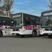transporte Xibi XIbi
