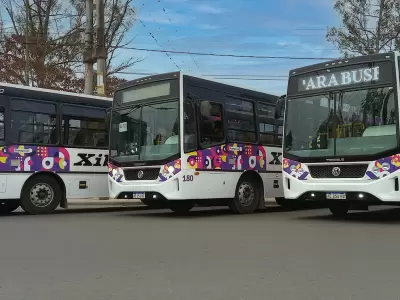 transporte Xibi XIbi