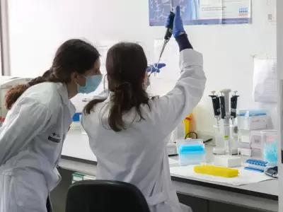 medicina jujuy