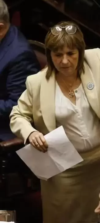 bullrich senadora