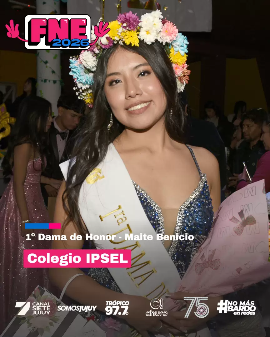 fne 2026 colegio ipsel