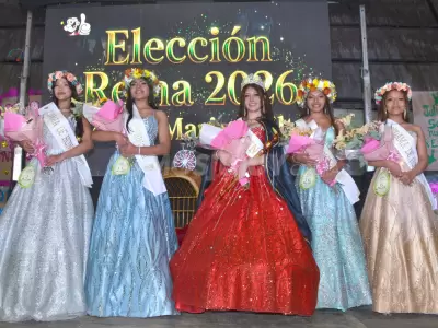 grupal escuela marina vilte eleccion