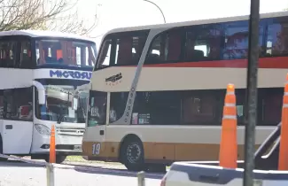 colectivo tour de compras