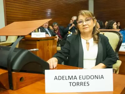 adelma torres