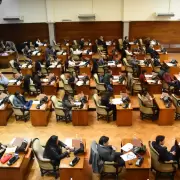 Alivio fiscal al comercio y restricci�n de carnet a deudores alimentarios: las nuevas leyes de Jujuy